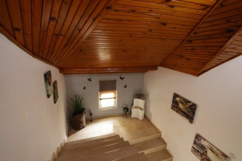 Villa i Kargicak, Alanya, Antalya, Tyrkia Nr. 193539 - 17