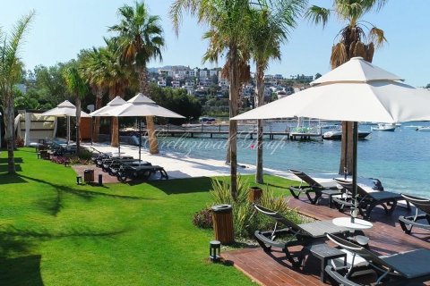 Villa in Bodrum, Mugla, Türkei Nr. 179040 - 3