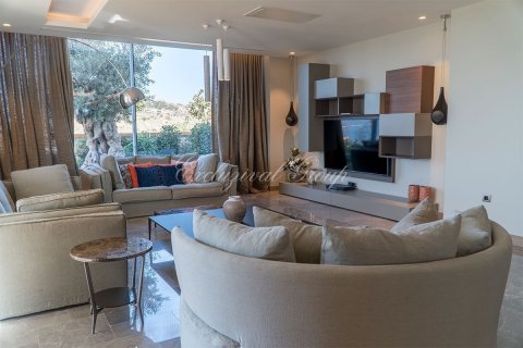 Villa in Bodrum, Mugla, Türkei Nr. 179040 - 8