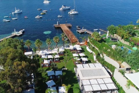 Villa  in Bodrum, Mugla, Turkey No. 179040