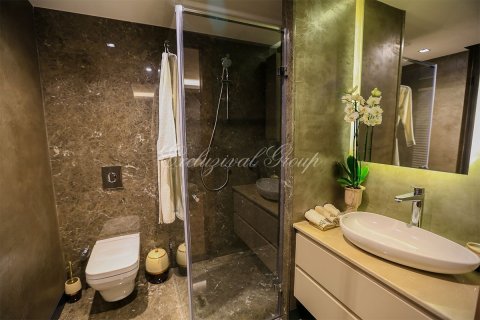 Villa in Bodrum, Mugla, Türkei Nr. 179040 - 2