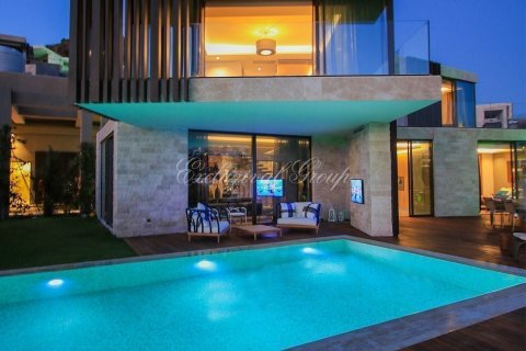 Villa in Bodrum, Mugla, Türkei Nr. 179040 - 18