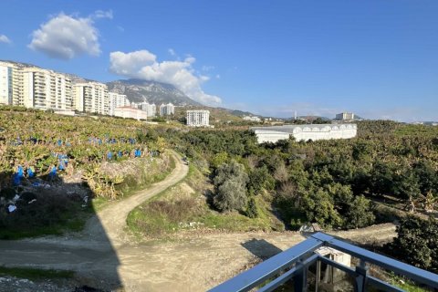1+1 Lejlighed  i Alanya, Antalya, Tyrkiet Nr. 184500 - 14