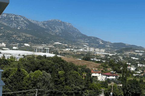 1+1 Wohnung in Alanya, Antalya, Türkei Nr. 170155 - 11