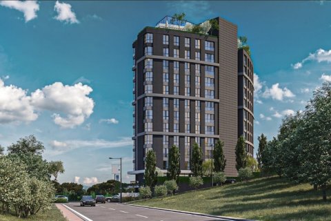 3+1 Wohnung  in Istanbul, Türkei Nr. 173033