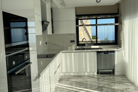 4+3 Villa  in Alanya, Antalya, Türkei Nr. 172182