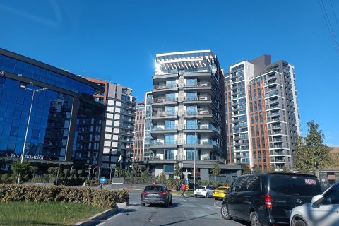 3+1 Leilighet i Istanbul, Tyrkia Nr. 49864 - 6