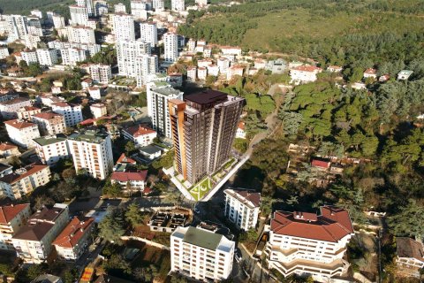 2+1 Villa  i Istanbul, Tyrkiet Nr. 192994 - 22