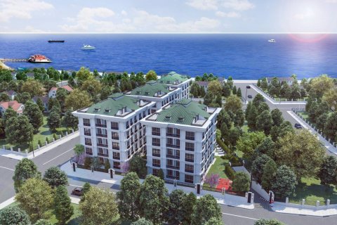 ALBATROS LIFE   in Istanbul, Turkey No.161560
