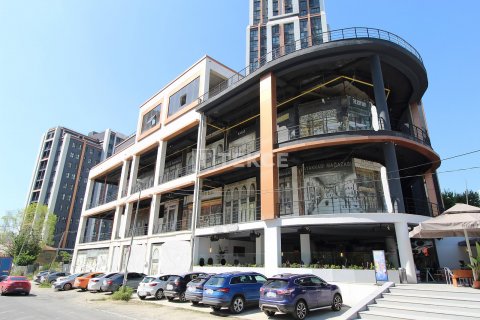 Продажа коммерческой недвижимости в Эсеньюрте, Стамбуле, Турция, 108м2, №165893 – фото 3