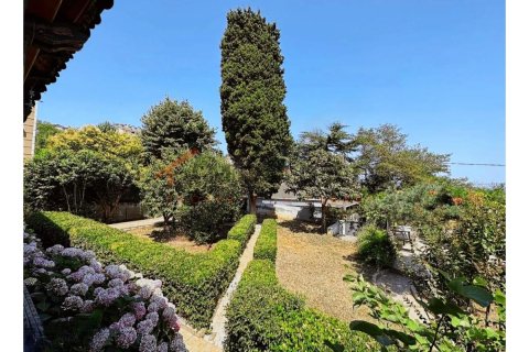 4+2 Villa  i Adalar, istanbul, Turkiet Nr. 176182 - 3