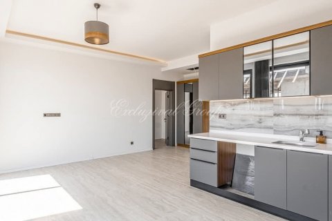 3+1 Villa in Bodrum, Mugla, Türkei Nr. 179310 - 22