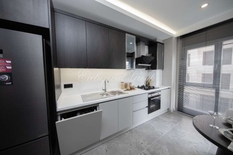 2+1 Lägenhet  i Istanbul, istanbul, Turkiet Nr. 179364 - 11
