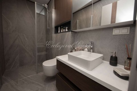 2+1 Lägenhet  i Istanbul, istanbul, Turkiet Nr. 179364 - 21