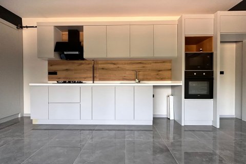 1+1 Wohnung in Antalya, Türkei Nr. 170219 - 12