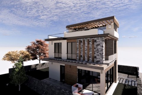 Villa  i  Nr. 169949 - 3