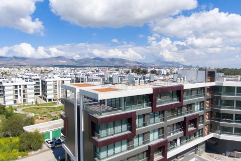 Продажа коммерческой недвижимости в Северном Кипре, 440м2, №169018 – фото 8