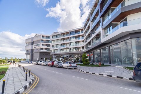 Продажа коммерческой недвижимости в Северном Кипре, 440м2, №169018 – фото 4
