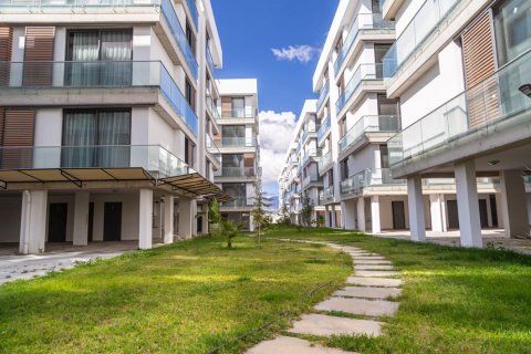 Продажа коммерческой недвижимости в Северном Кипре, 440м2, №169018 – фото 7