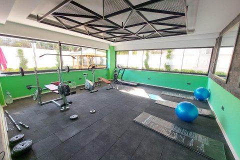 Wohnung  in Mahmutlar, Antalya, Türkei Nr. 166357 - 20