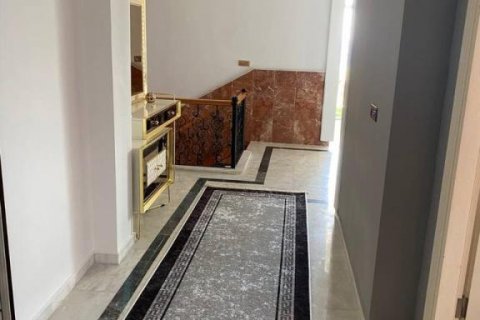 آپارتمان در  Mahmutlar ، ترکیه 250 متر مربع.  شماره 160362 - 12