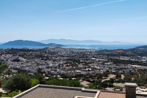 Villa   Bodrum, Muğla, Türkiye №179140 - 3