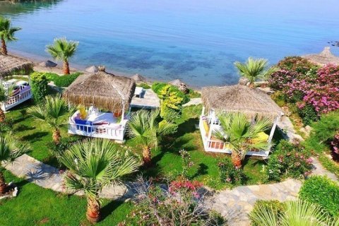 4+0 Villa i Bodrum, Mugla, Turkiet Nr. 179144 - 9