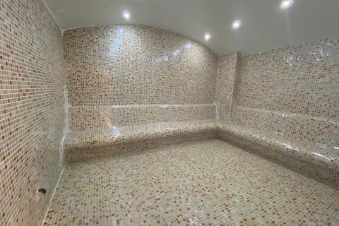 Wohnung in Mahmutlar, Antalya, Türkei Nr. 166740 - 6