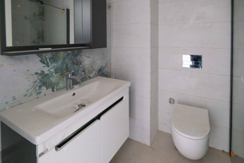 2+1 Leilighet i Alanya, Antalya, Tyrkia Nr. 185854 - 25
