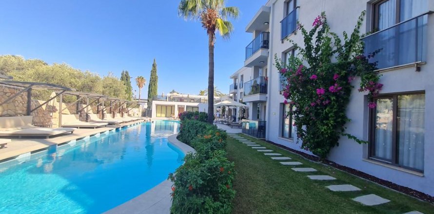 Daire   Bodrum, Muğla, Türkiye №186542