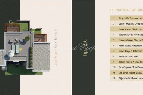 1+1 Wohnung in Bodrum, Mugla, Türkei Nr. 178818 - 11