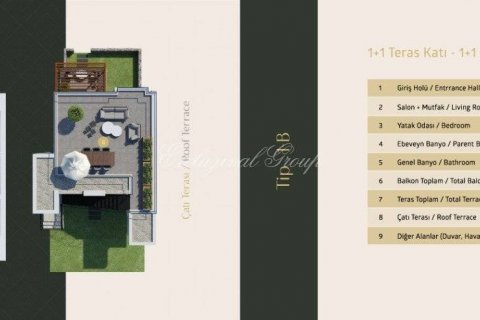 1+1 Wohnung in Bodrum, Mugla, Türkei Nr. 178818 - 9