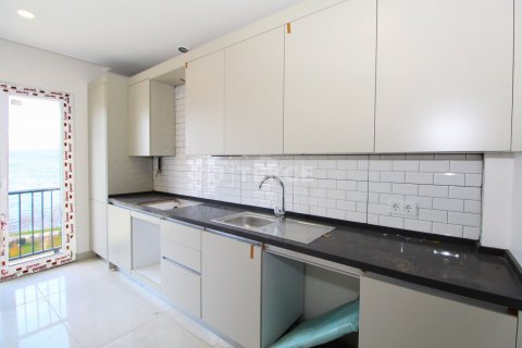 3+1 Lägenhet i istanbul, Turkiet Nr. 162568 - 13