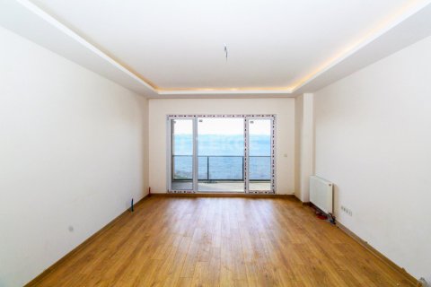3+1 Lägenhet i istanbul, Turkiet Nr. 162568 - 7