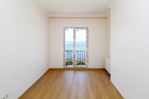 3+1 Lägenhet i istanbul, Turkiet Nr. 162568 - 16