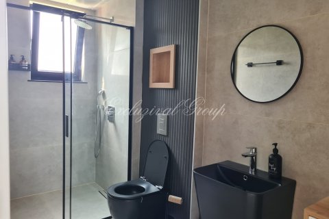 4+1 Villa  in Kemer, Antalya, Türkei Nr. 179159 - 10