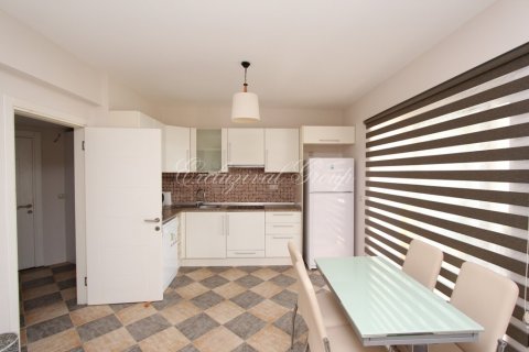 2+1 Lägenhet i Bodrum, Mugla, Turkiet Nr. 187257 - 10