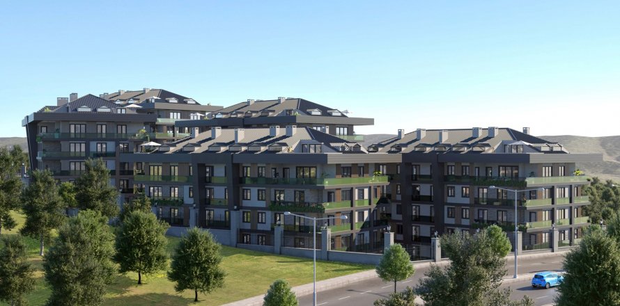 5+1 Lejlighed i Istanbul, Tyrkiet Nr. 172647