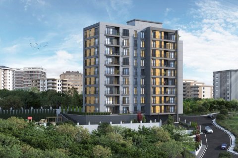2+1 Wohnung  in Istanbul, Türkei Nr. 173422