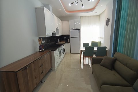 1+1 Wohnung  in Alanya, Antalya, Türkei Nr. 166021