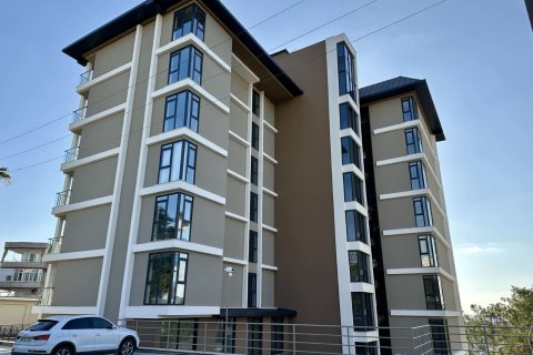 Продажа квартиры  в Авсалларе, Анталье, Турция 1+1, 48м2, №47305 – фото 9