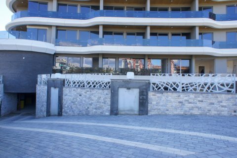 2+1 Leilighet i Kargicak, Alanya, Antalya, Tyrkia Nr. 177160 - 13