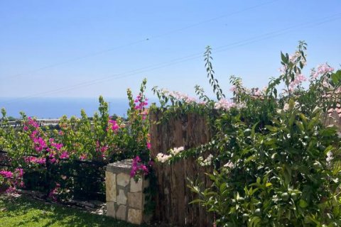 Daire Alanya, Antalya, Türkiye №167049 - 17