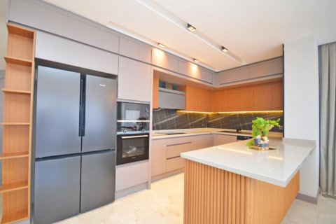 Villa   Kargıcak, Alanya, Antalya, Türkiye №164647 - 28