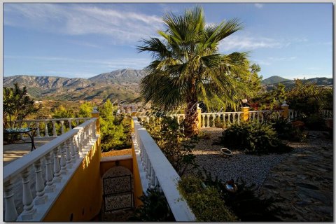 3+1 Villa  i Alanya, Antalya, Turkiet Nr. 178992 - 11