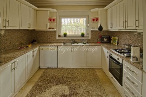 3+1 Villa  i Alanya, Antalya, Turkiet Nr. 178992 - 17