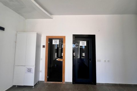 پنت هاس در Alanya ، ترکیه 2 خوابه ، 120 متر مربع. شماره 43949 - 18