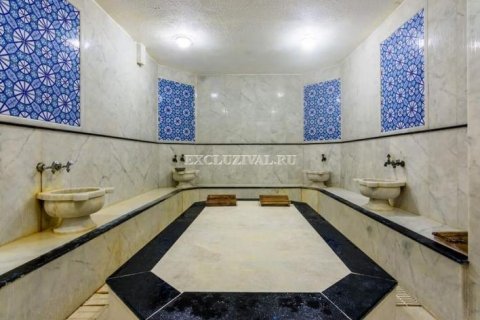 3+1 Villa i Didim, Aydin, Turkiet Nr. 178829 - 27