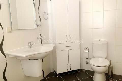 3+1 Villa i Didim, Aydin, Turkiet Nr. 178829 - 17