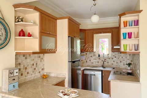 3+1 Villa i Didim, Aydin, Turkiet Nr. 178829 - 14